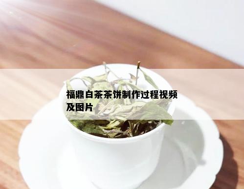 福鼎白茶茶饼制作过程视频及图片