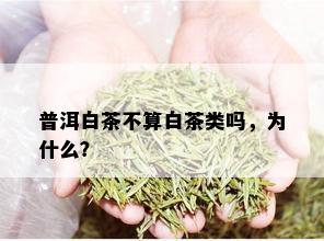 普洱白茶不算白茶类吗，为什么？