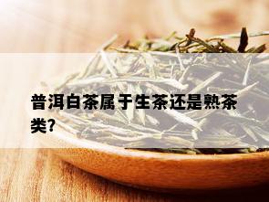 普洱白茶属于生茶还是熟茶类？