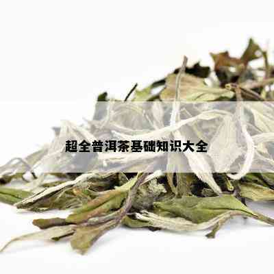 超全普洱茶基础知识大全