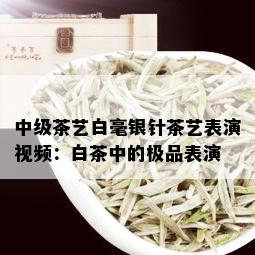 中级茶艺白毫银针茶艺表演视频：白茶中的极品表演