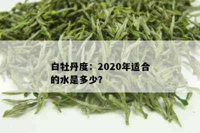 白牡丹度：2020年适合的水是多少？