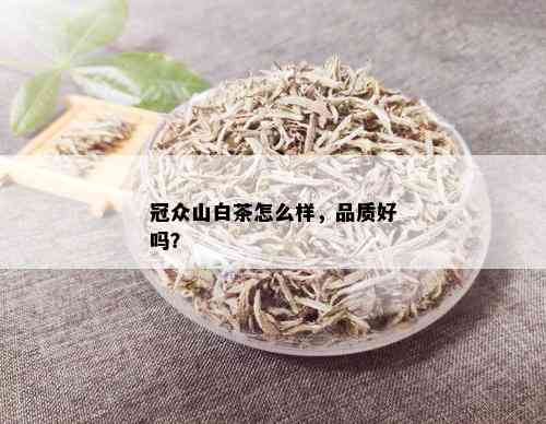 冠众山白茶怎么样，品质好吗？