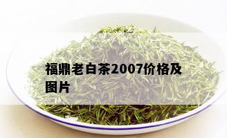 福鼎老白茶2007价格及图片