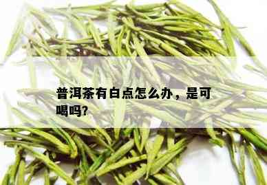 普洱茶有白点怎么办，是可喝吗？