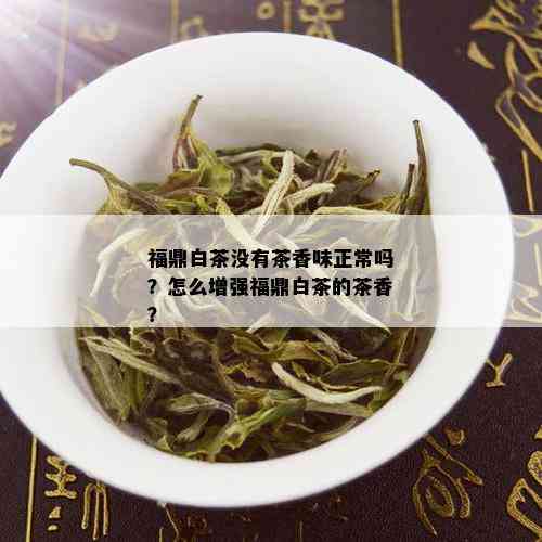 福鼎白茶没有茶香味正常吗？怎么增强福鼎白茶的茶香？