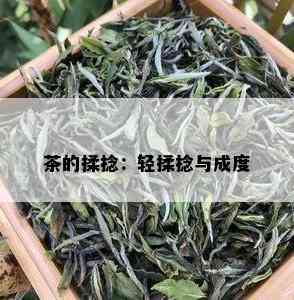 茶的揉捻：轻揉捻与成度