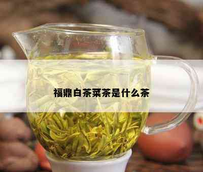 福鼎白茶菜茶是什么茶