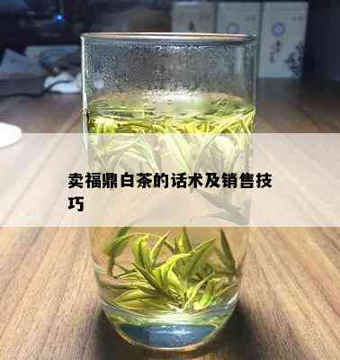 卖福鼎白茶的话术及销售技巧