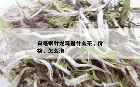 白毫银针龙珠是什么茶，价格，怎么泡