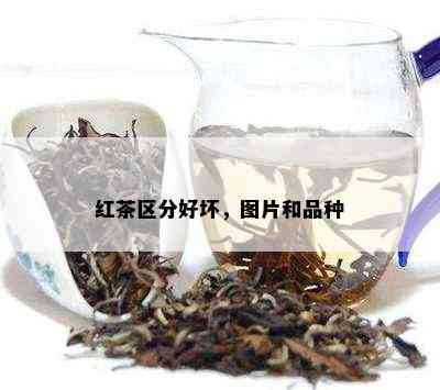 红茶区分好坏，图片和品种