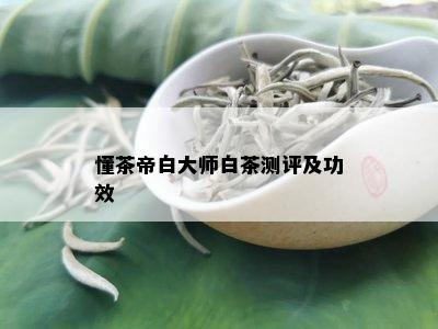 懂茶帝白大师白茶测评及功效