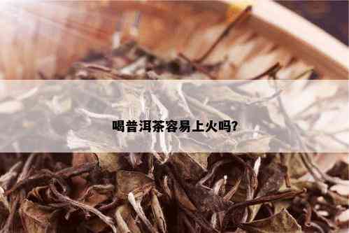 喝普洱茶容易上火吗？