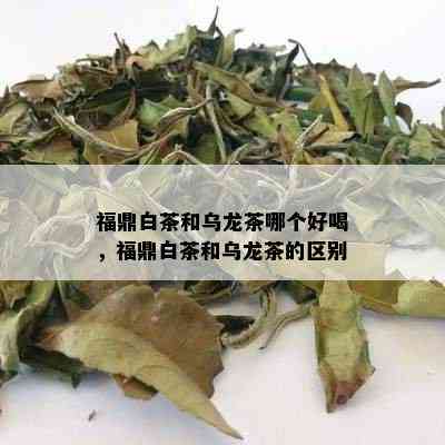 福鼎白茶和乌龙茶哪个好喝，福鼎白茶和乌龙茶的区别