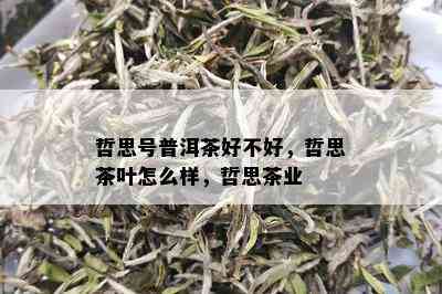 哲思号普洱茶好不好，哲思茶叶怎么样，哲思茶业