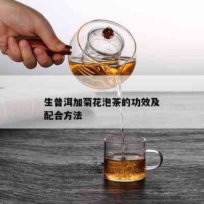 生普洱加菊花泡茶的功效及配合方法