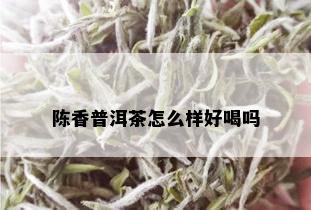 陈香普洱茶怎么样好喝吗