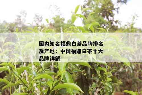 国内知名福鼎白茶品牌排名及产地：中国福鼎白茶十大品牌详解