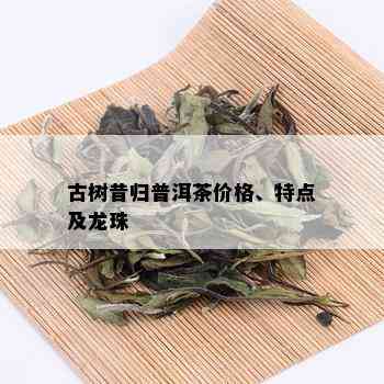 古树昔归普洱茶价格、特点及龙珠