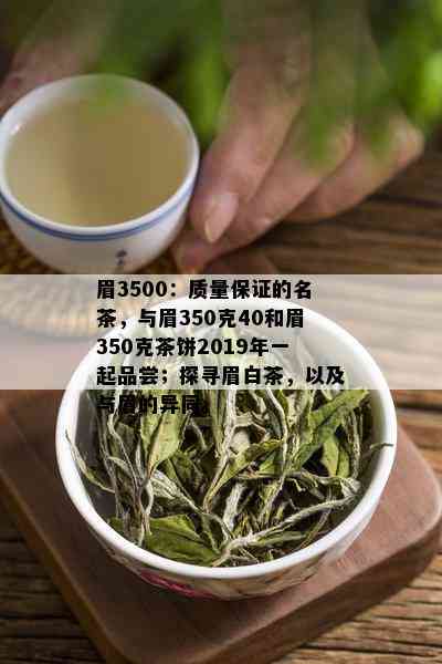 眉3500：质量保证的名茶，与眉350克40和眉350克茶饼2019年一起品尝；探寻眉白茶，以及与眉的异同。