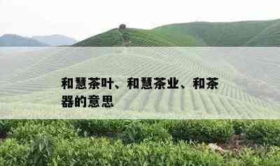 和慧茶叶、和慧茶业、和茶器的意思