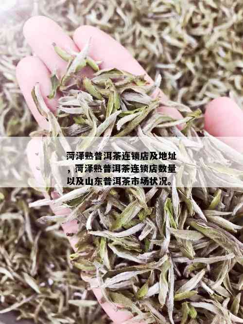 菏泽熟普洱茶连锁店及地址，菏泽熟普洱茶连锁店数量以及山东普洱茶市场状况。