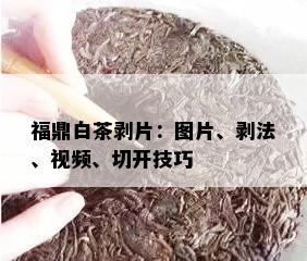 福鼎白茶剥片：图片、剥法、视频、切开技巧