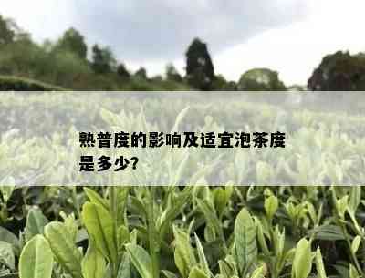 熟普度的影响及适宜泡茶度是多少？