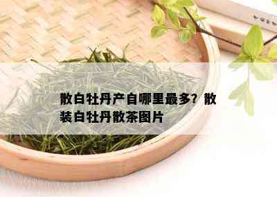 散白牡丹产自哪里最多？散装白牡丹散茶图片