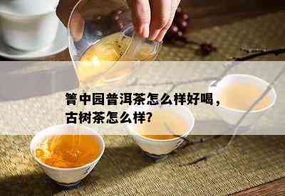 箐中园普洱茶怎么样好喝，古树茶怎么样？