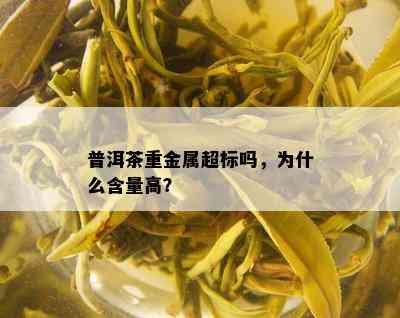 普洱茶重金属超标吗，为什么含量高？