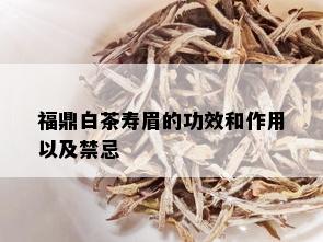 福鼎白茶寿眉的功效和作用以及禁忌