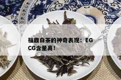 福鼎白茶的神奇表现：EGCG含量高！