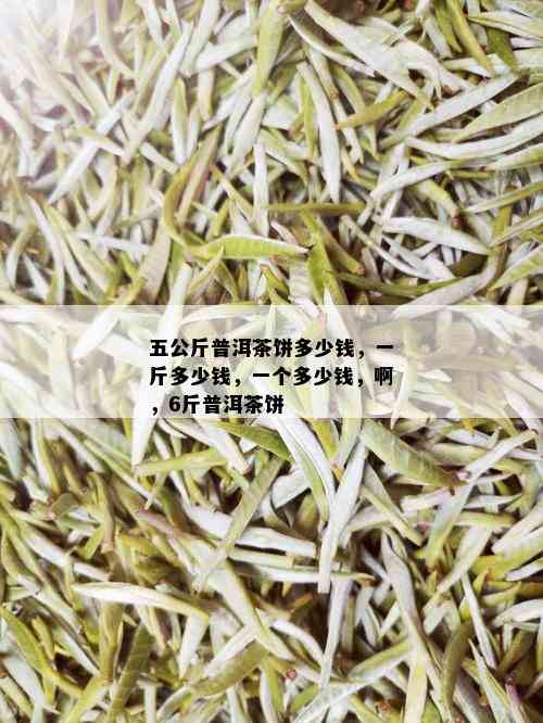 五公斤普洱茶饼多少钱，一斤多少钱，一个多少钱，啊，6斤普洱茶饼