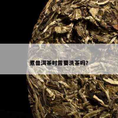 煮普洱茶时需要洗茶吗？