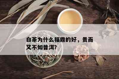 白茶为什么福鼎的好，贵而又不如普洱？