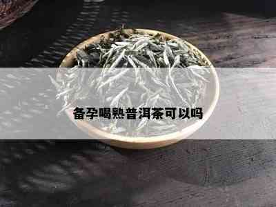 备孕喝熟普洱茶可以吗