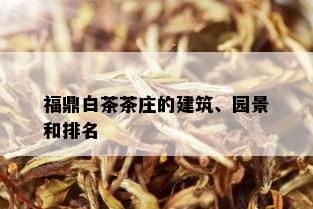 福鼎白茶茶庄的建筑、园景和排名