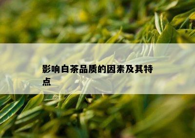 影响白茶品质的因素及其特点