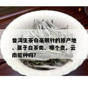 普洱生茶白毫银针的原产地、属于白茶类、哪个贵、云南能种吗？