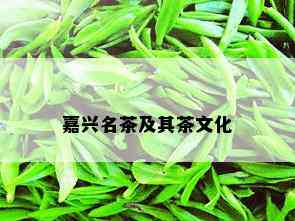 嘉兴名茶及其茶文化