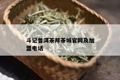 斗记普洱茶邦茶城官网及加盟电话