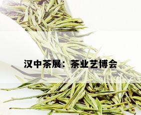 汉中茶展：茶业艺博会