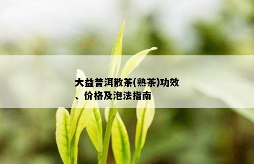 大益普洱散茶(熟茶)功效、价格及泡法指南