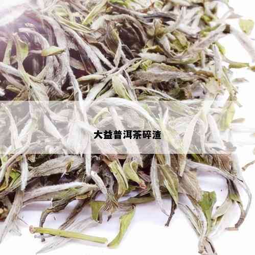 大益普洱茶碎渣