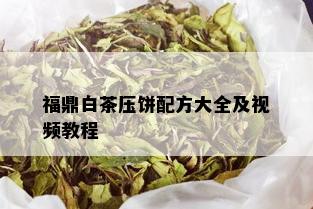 福鼎白茶压饼配方大全及视频教程