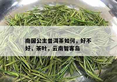 南国公主普洱茶如何，好不好，茶叶，云南智客岛