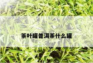 茶叶罐普洱茶什么罐