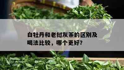 白牡丹和老挝灰茶的区别及喝法比较，哪个更好？