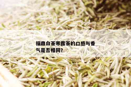 福鼎白茶寒露茶的口感与香气是否相同？